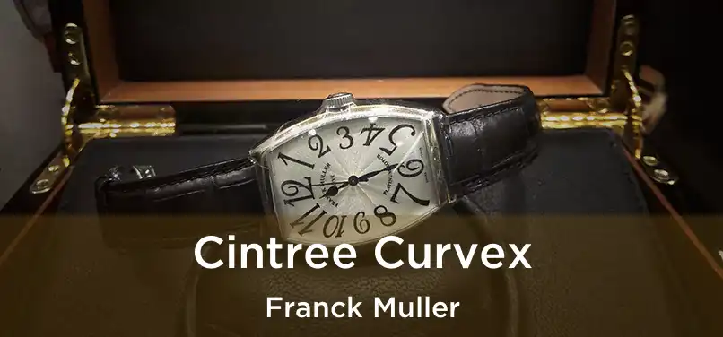  Cintree Curvex Franck Muller